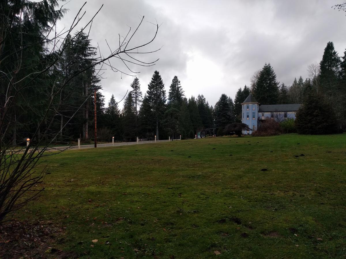 Villa Chalet At Mt. Rainier Ashford Exterior foto