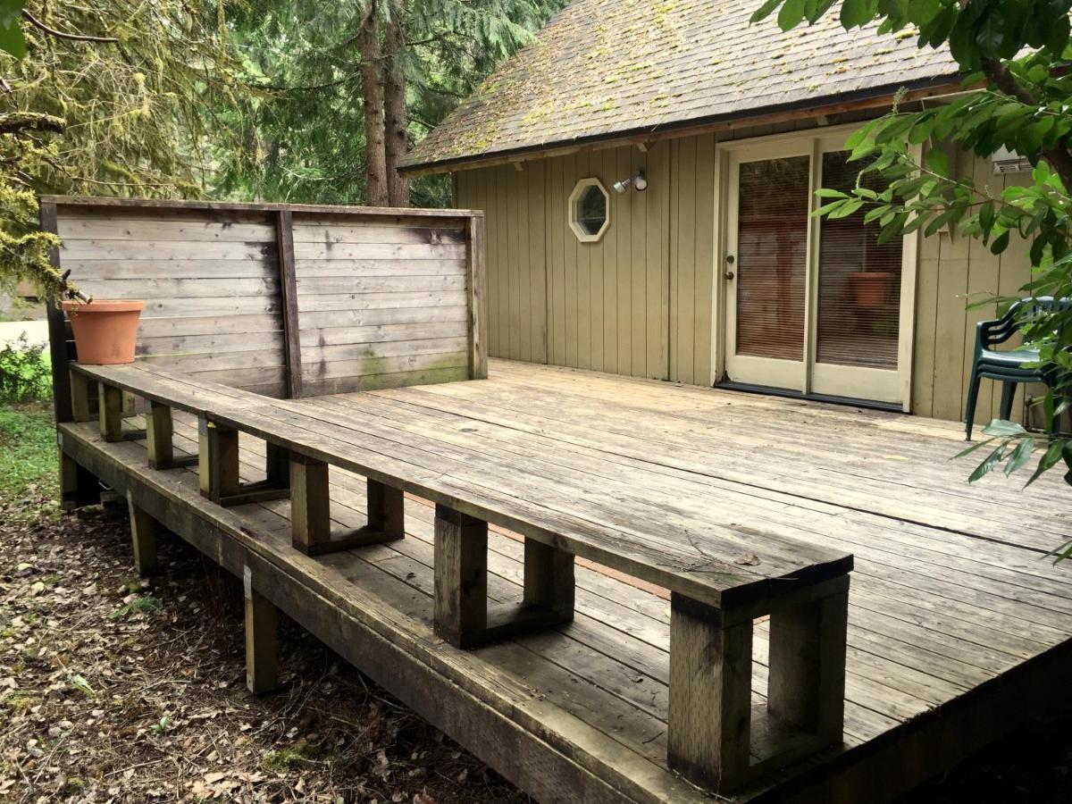 Villa Chalet At Mt. Rainier Ashford Exterior foto